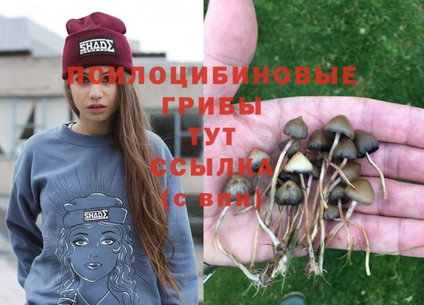 эйфоретик Кинешма