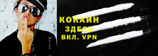 стафф Касимов