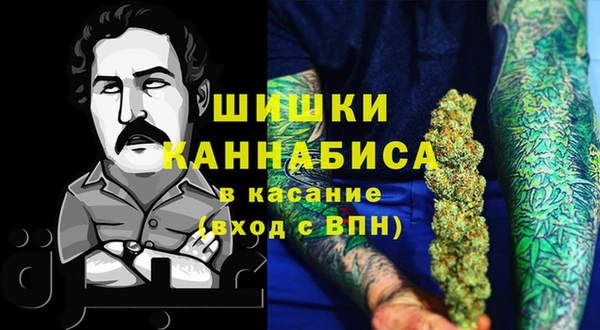 стафф Касимов