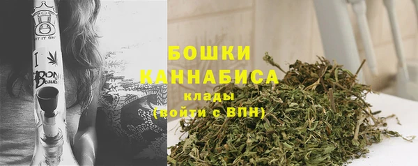 стафф Касимов