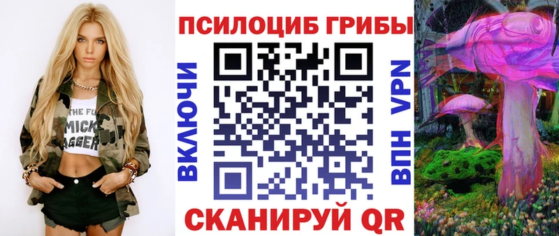 наркошоп  Бердск  Псилоцибиновые грибы GOLDEN TEACHER 