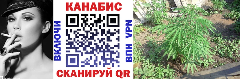 МАРИХУАНА план  Бердск 